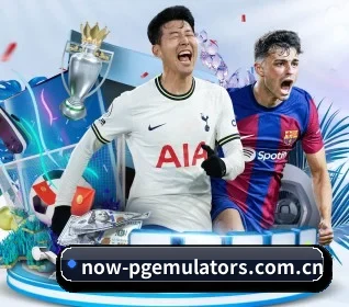 我们在做什么(PGemulator)